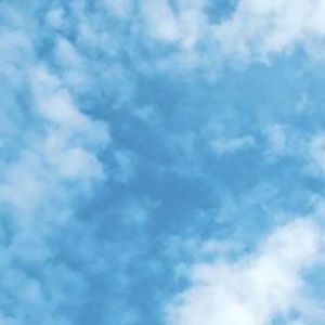 Meet your Posher, Ella